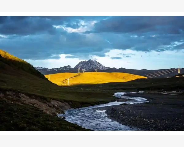 脾虚湿重以化痰湿，呵护健康，中医经典引领养生之道